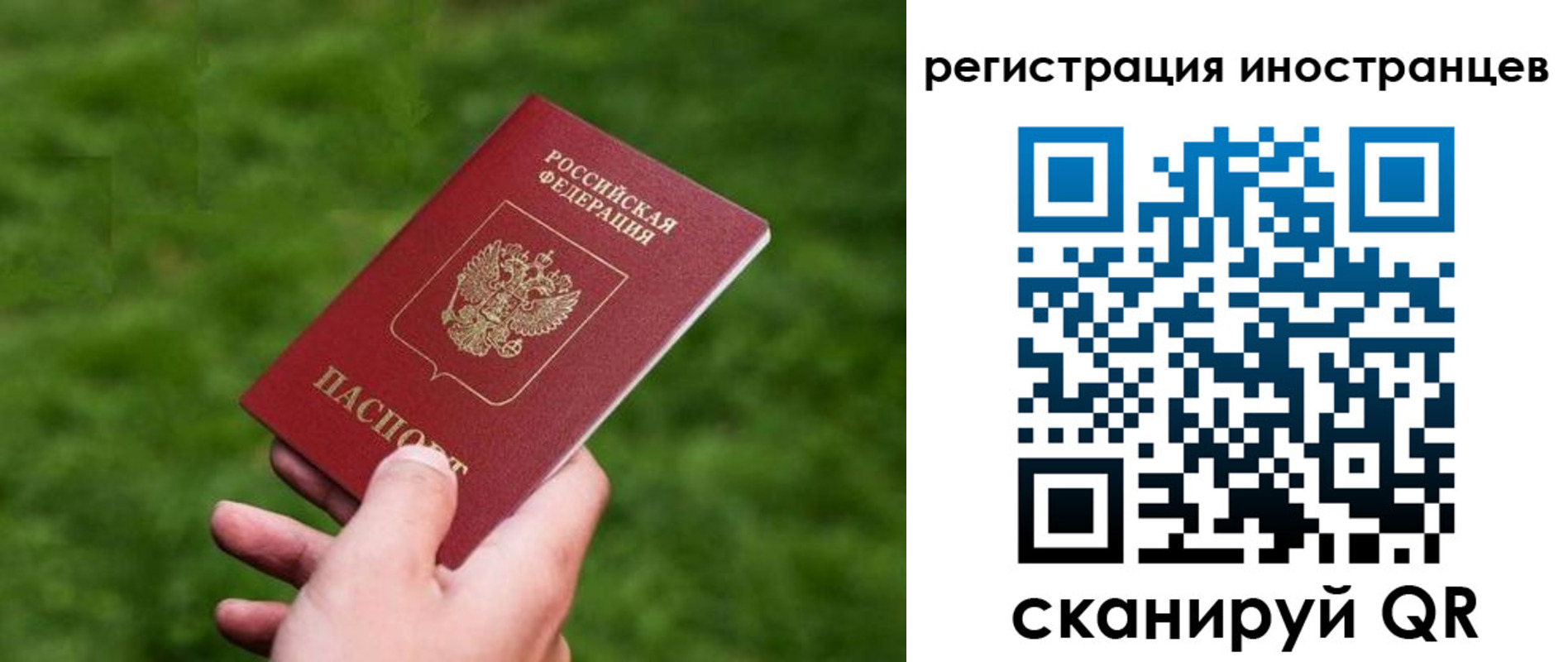 прописка ребенка в Каменск-Шахтинском